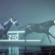Zed Run Horse Speed
