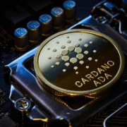 cardano scan